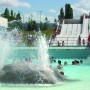 piscine le mans atlantides