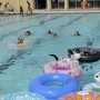 piscine-saint-nazaire