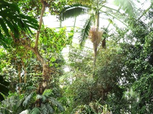 jardin des plantes paris gratuit pour les chomeurs