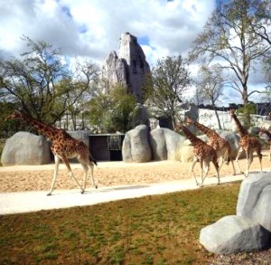 zoo paris